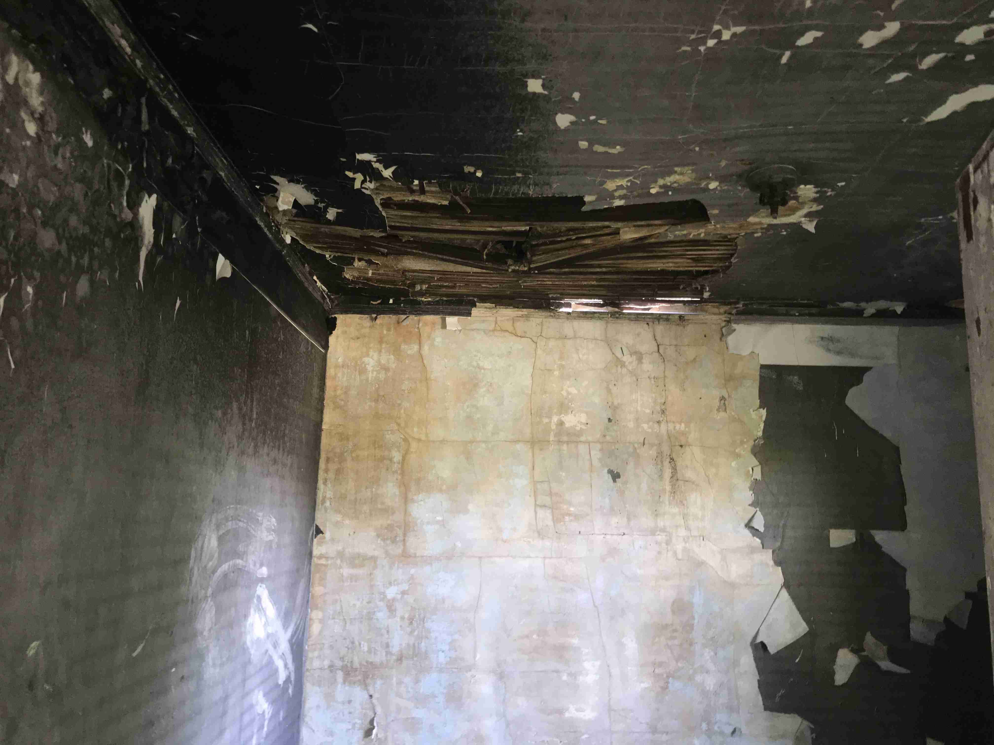 Photo Aug 21, 1 49 57 PM.jpg